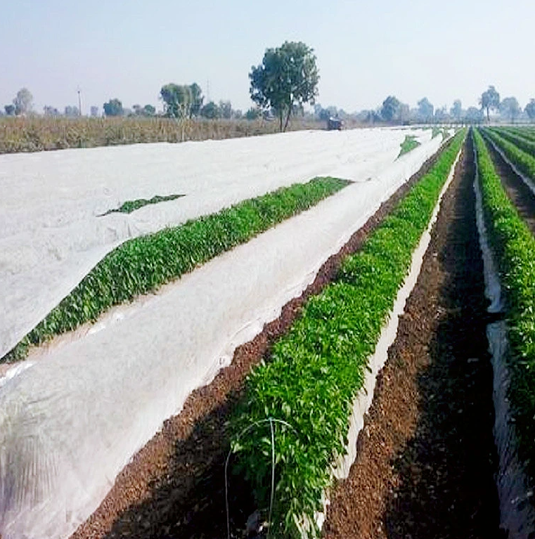 Soil Heat Absorption