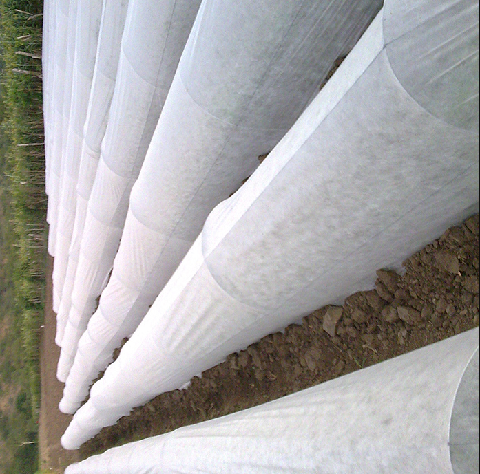 Eco-Friendly Farming